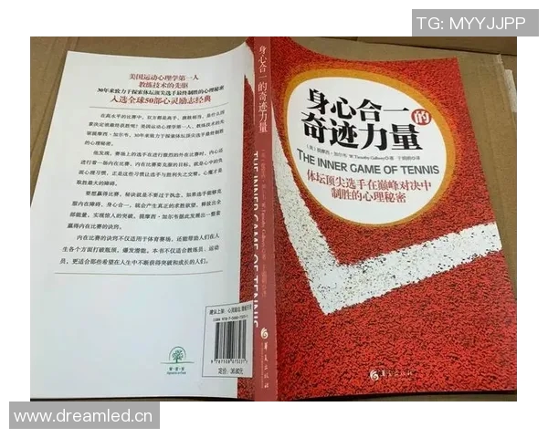 深圳网球队团队协作变革引发热议助力网球发展新篇章